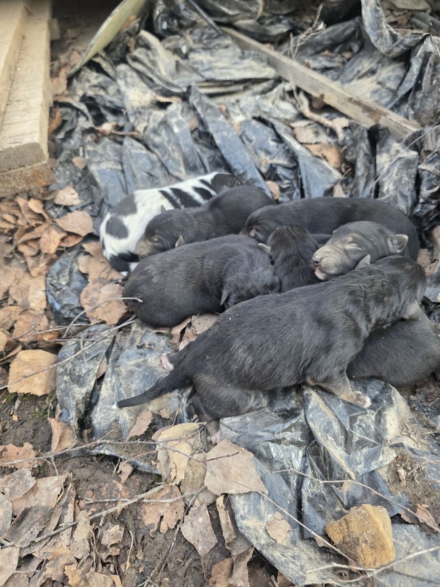 Фото автора. Детишки.