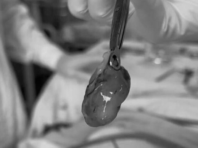    Фото: mz.mosreg.ru