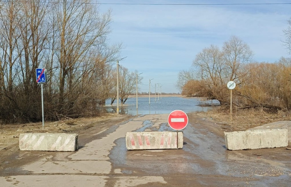    Фото: администрация Рязани