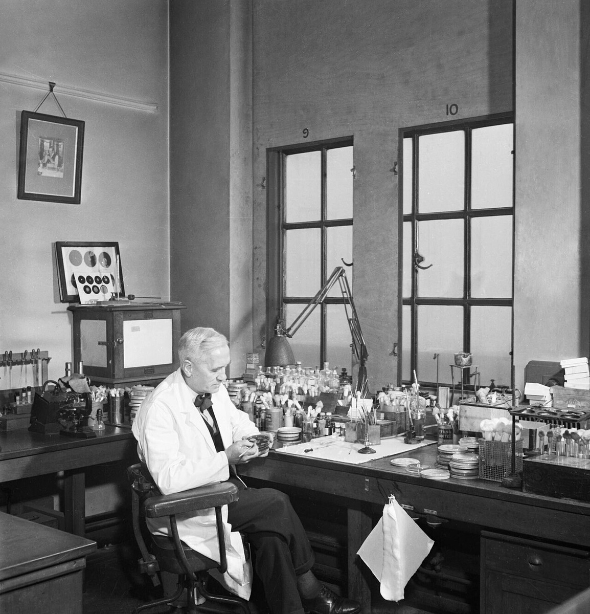 Professor Alexander Fleming at work in his laboratory at St Mary's Hospital, London, during the Second World War. D17801.jpg
