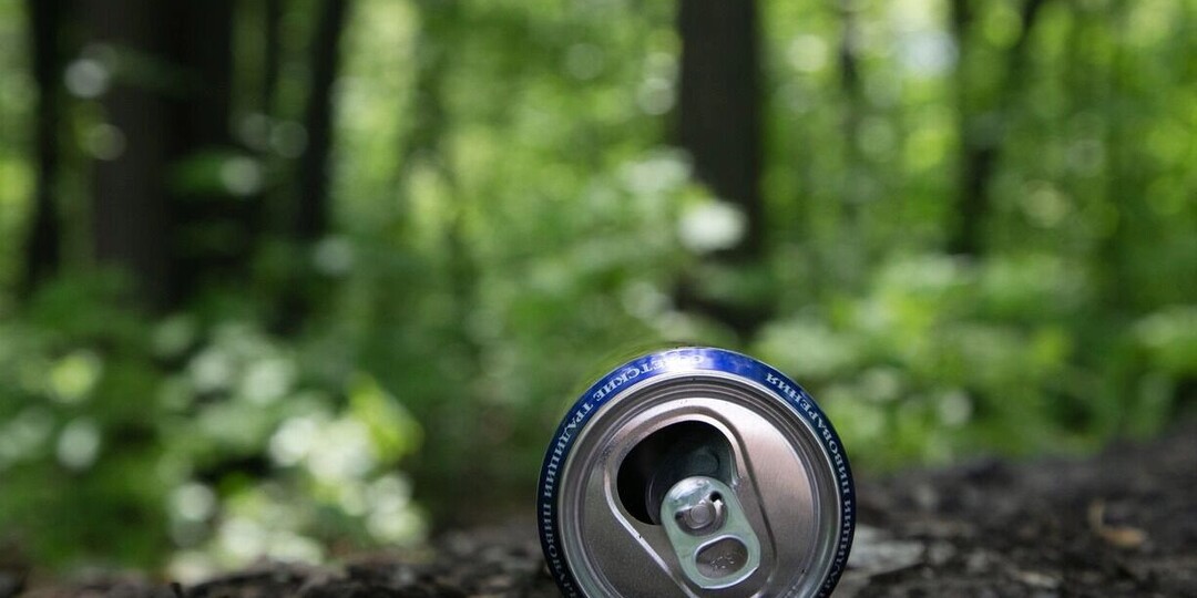 РЭО: Шестой сезон «Зелёной премии» пройдёт в 11 номинациях