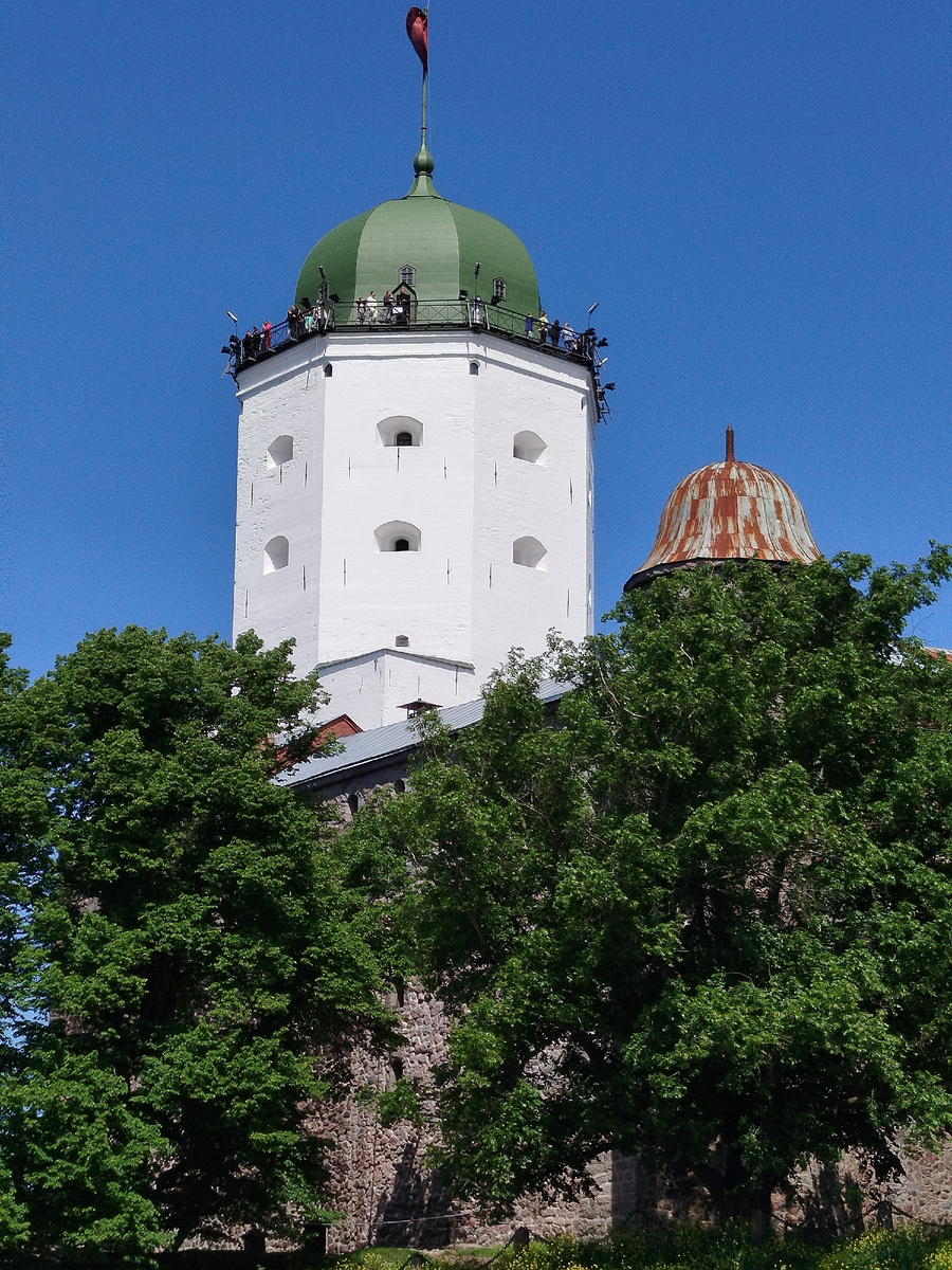 Фото автора.