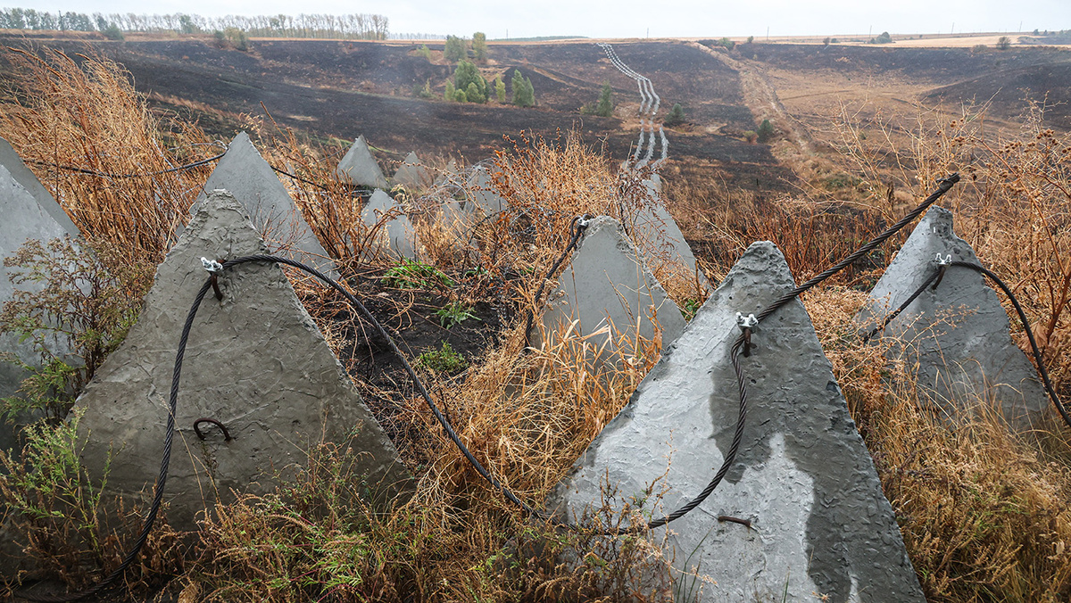   Михаил Климентьев / ТАСС- Архивное фото