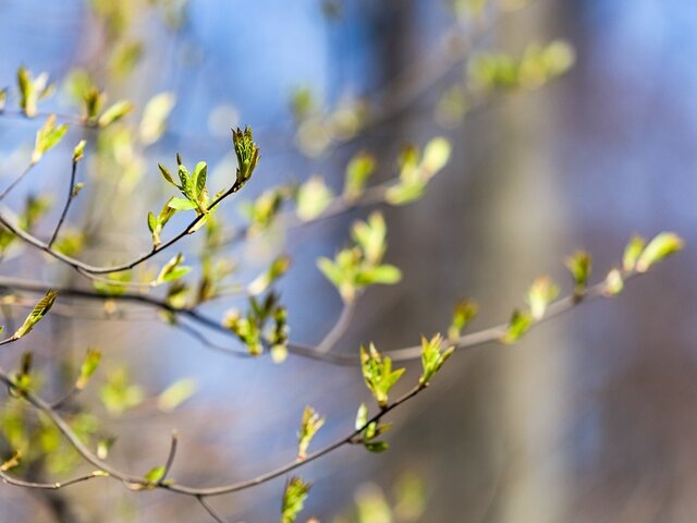    Фото: Москва 24/Лидия Широнина