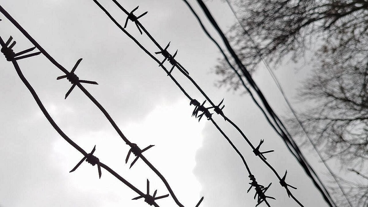    Фото: телеканал «Краснодар»