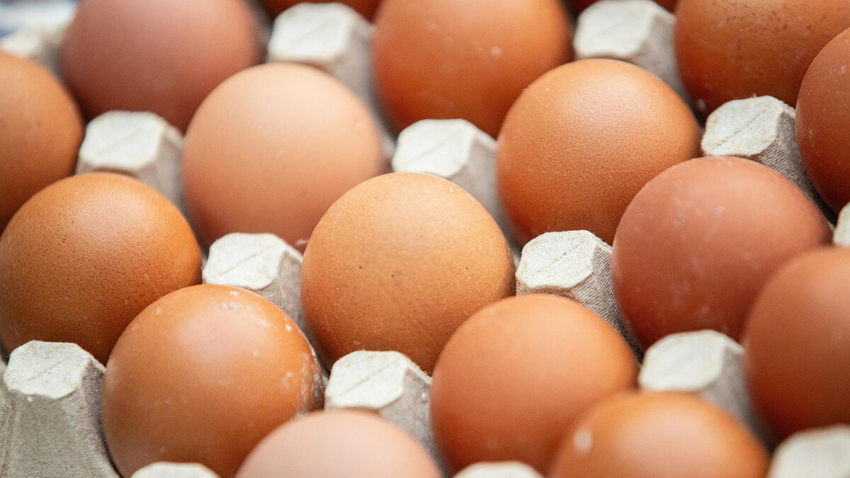    Фото: Ilya Moskovets/globallookpress.com