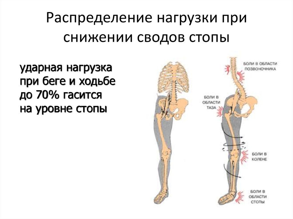 фото из открытого источника