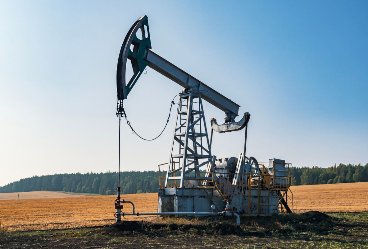    Фото: Evgenii Bakhchev / Shutterstock.com