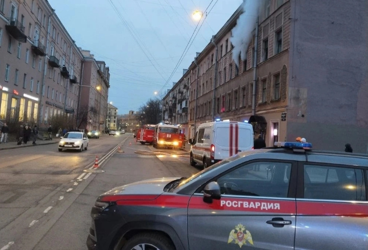 фото: Пресс-служба ФГКУ "УВО ВНГ РФ по г.СПб и ЛО"