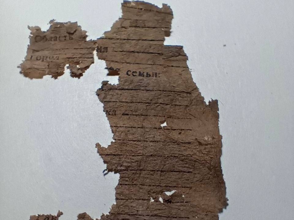    Фото: «Поисковое движение России» Сергей Иванов