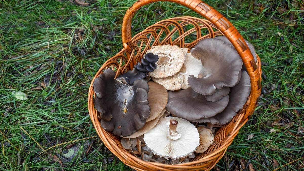    Фото: Shutterstock