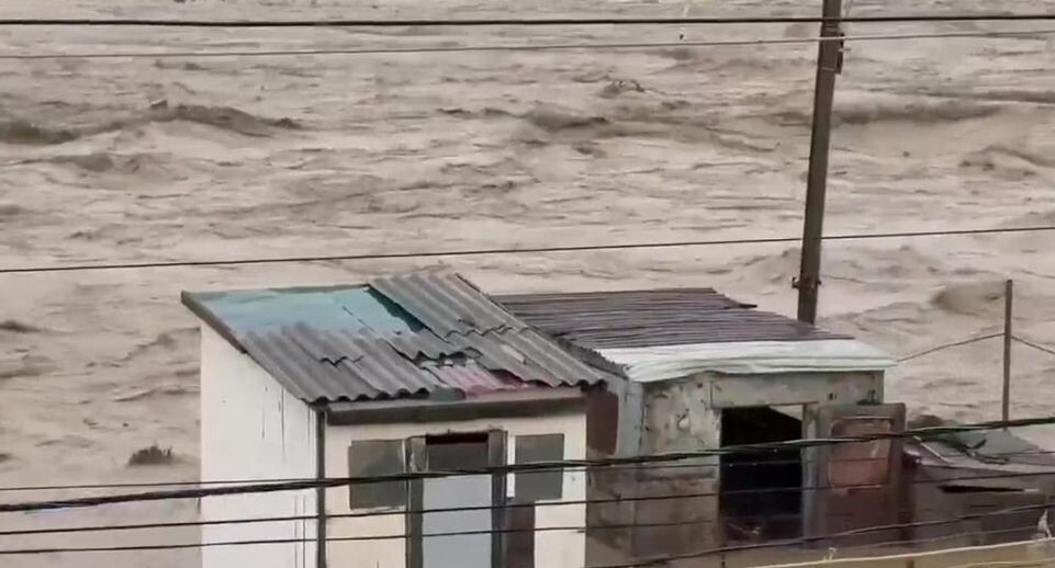    РИА «Новости»