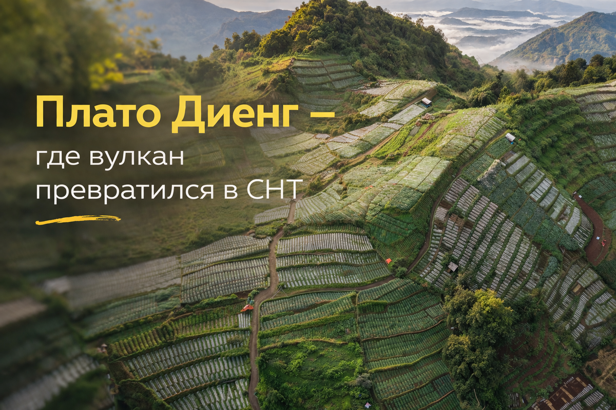 Фото наше и абсолютно реальное, там внизу еще много интересных ракурсов. 