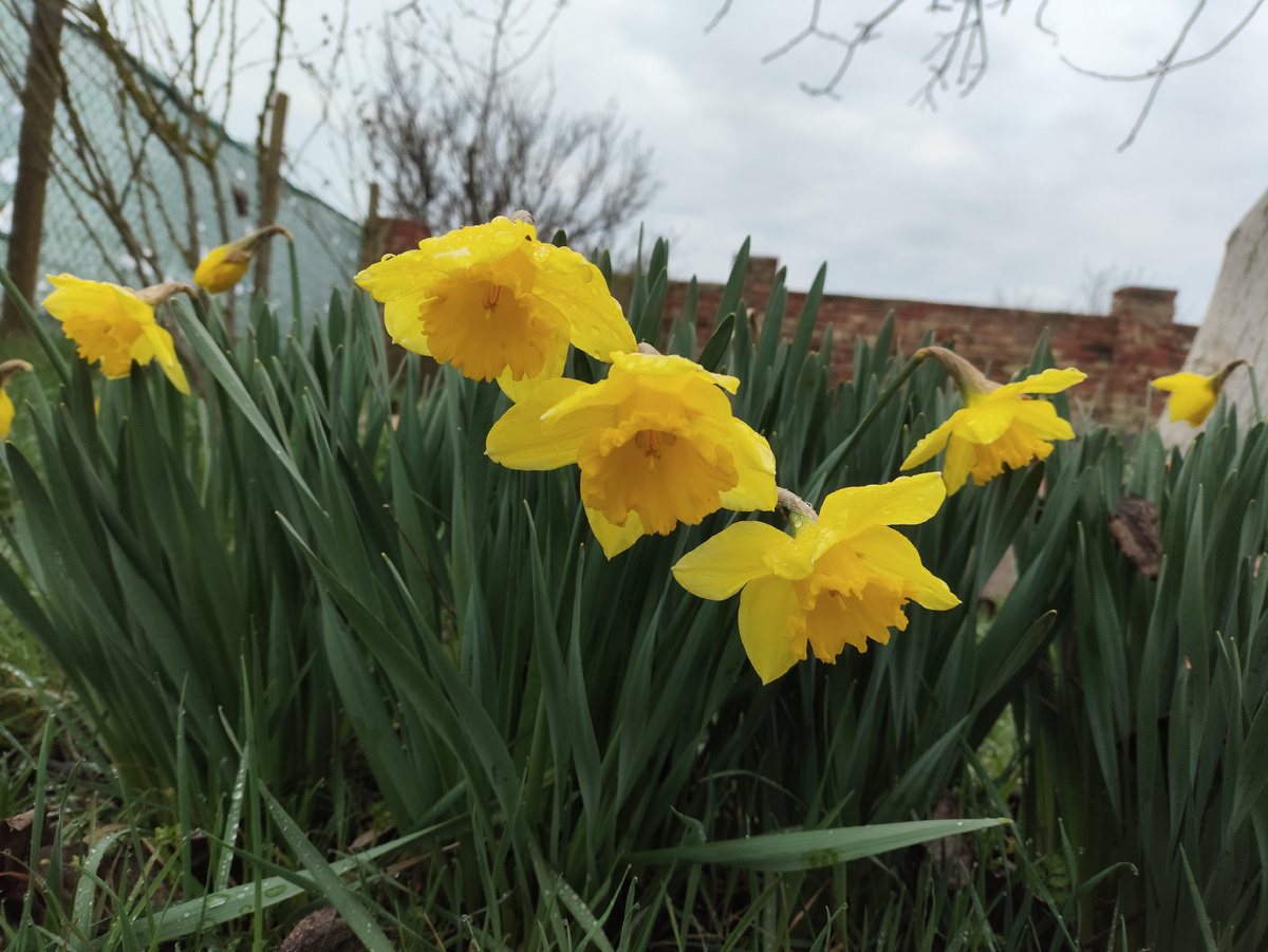 Попыталась им в глаза посмотреть )))