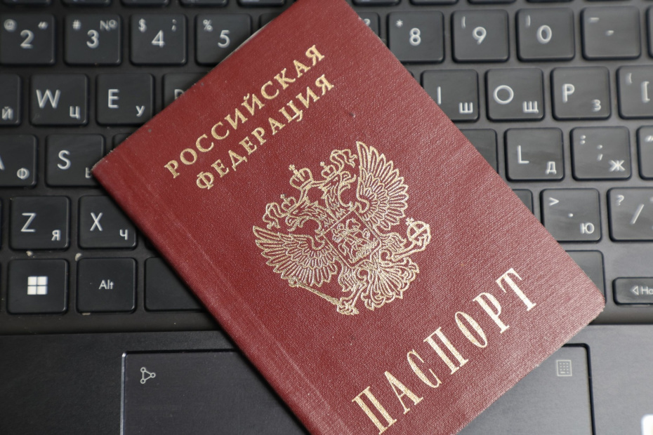    Алексей Белкин/NEWS.ru