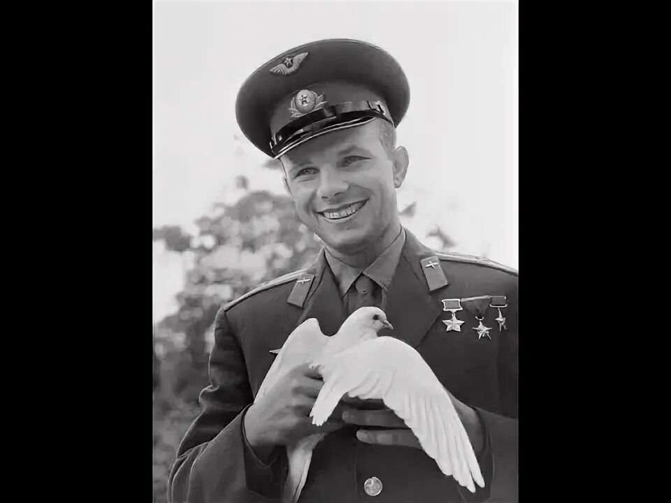 Здесь и далее фото из интернета.