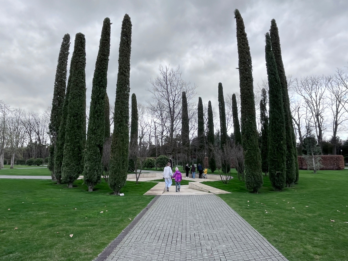 Красивые фоточки 