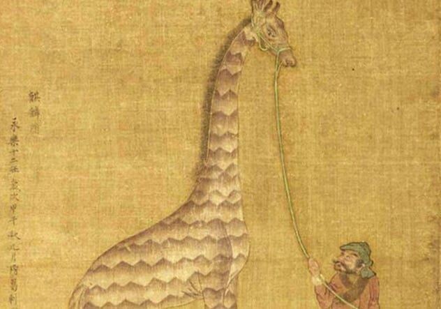 Картинка из Сети