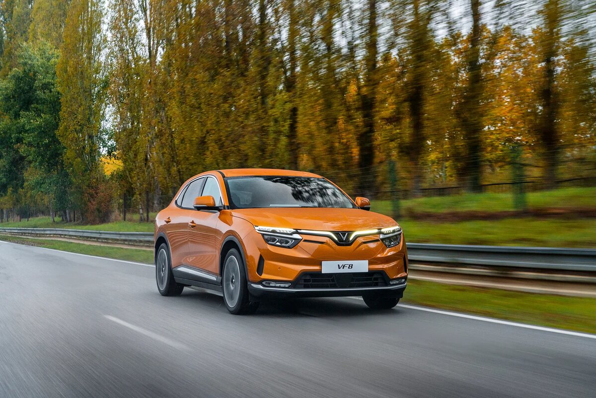 Источник: VinFast