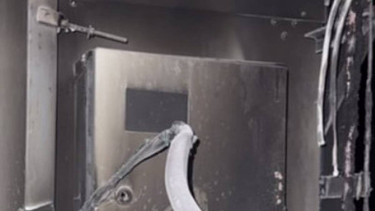    Фото: пресс-служба УТ МВД России по ЦФО / Telegram