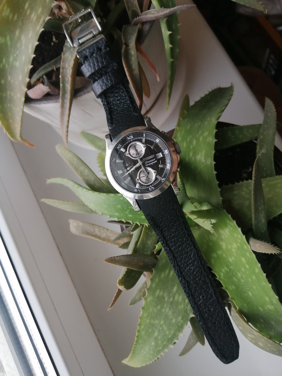 Фотографии автора 