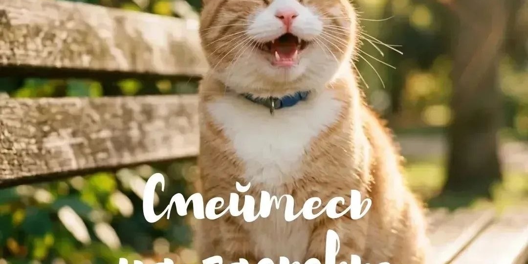 Шестое чувство: смеемся, когда мозг облегченно вздыхает