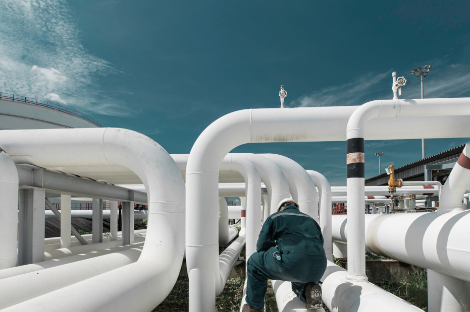    Shutterstock/FOTODOM