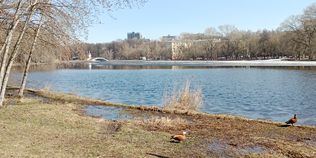 Как я стала взрослой и почему не люблю весну