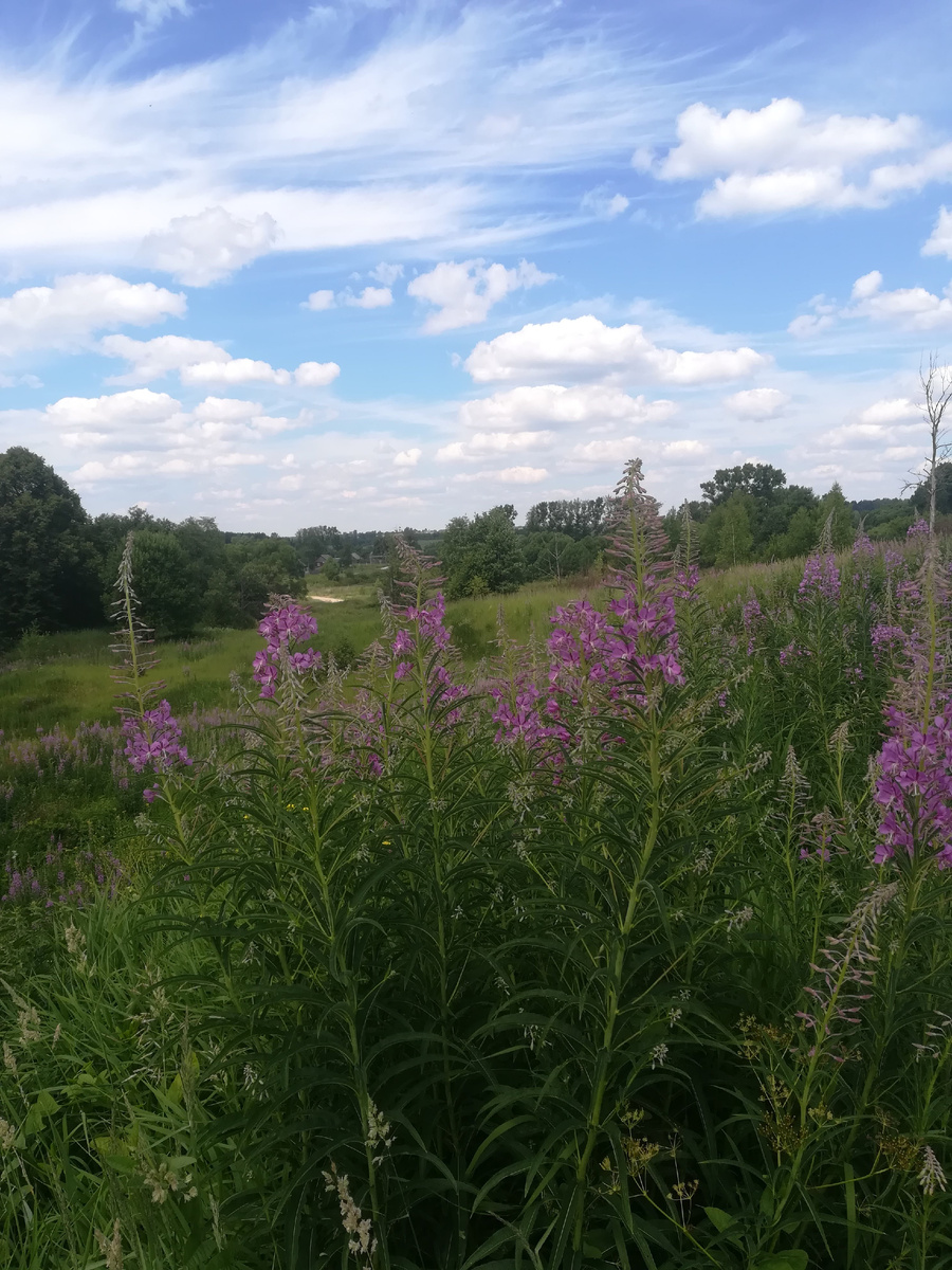 Прекрасные места Владимирской области. Слегка ностальгирую...