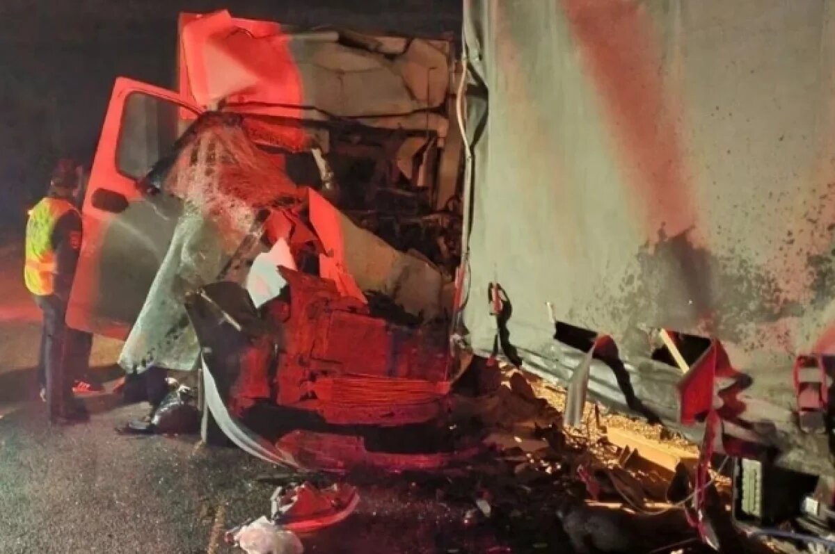    В Вязниковском районе погиб водитель «ГАЗ Луидор»