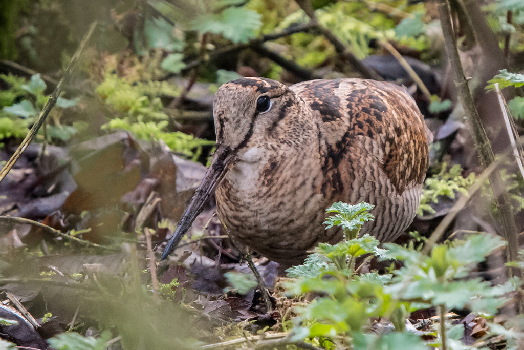 Фото из открытых источников интернет