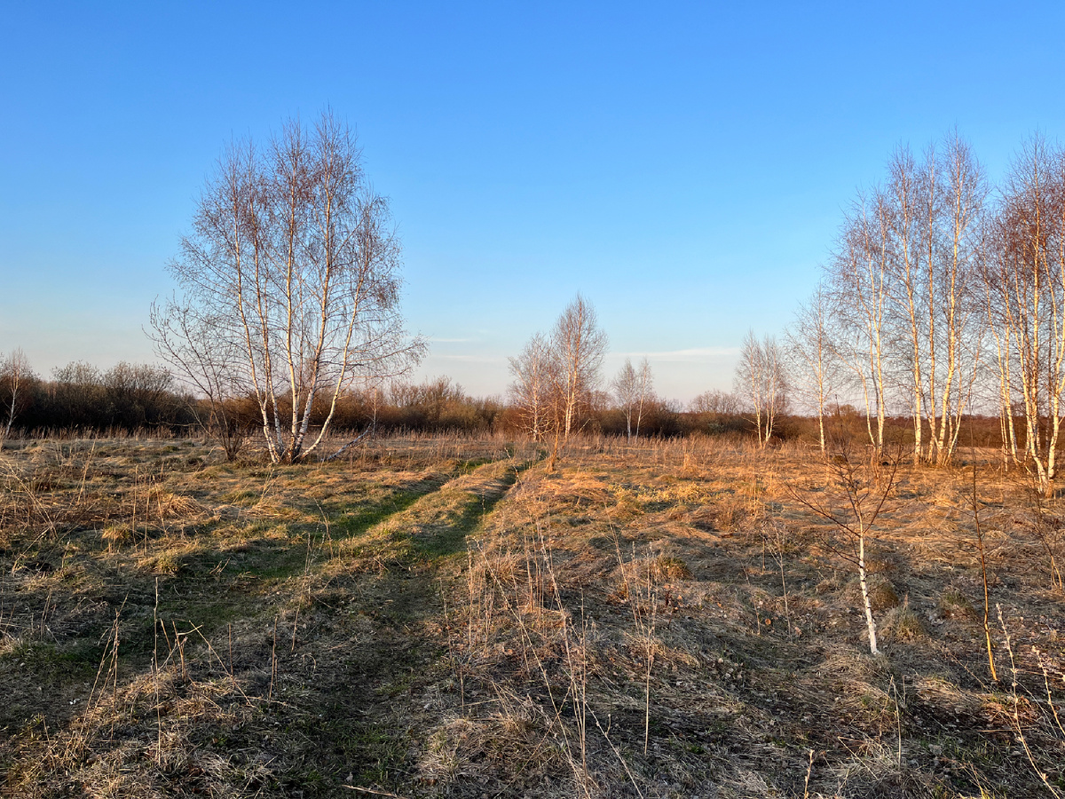 Апрельская вечорка