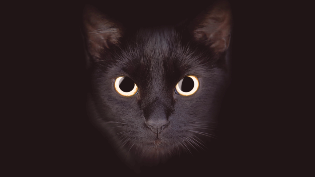    Фото: Shutterstock