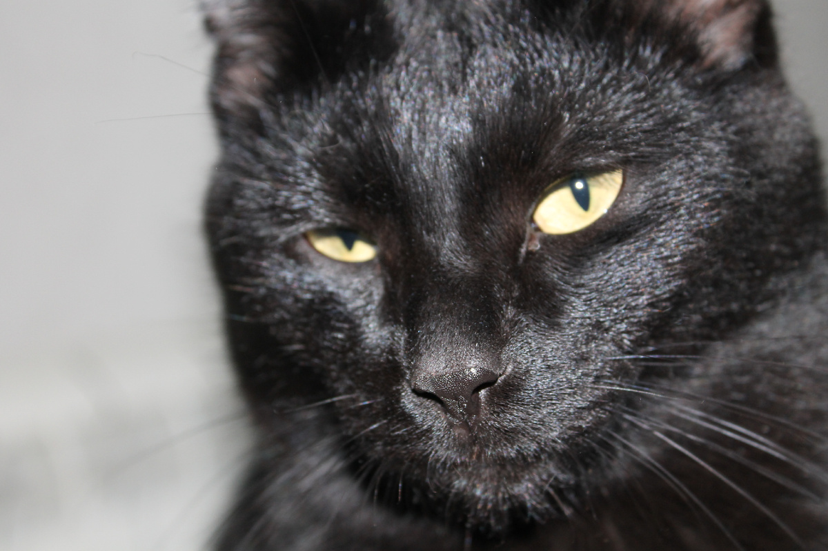 Агатик. Фото автора.