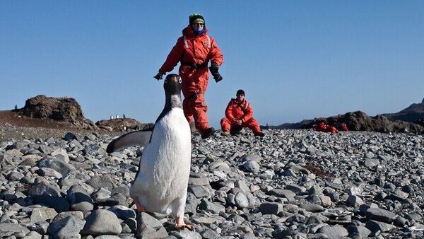    © Фото : Dmitry Malov