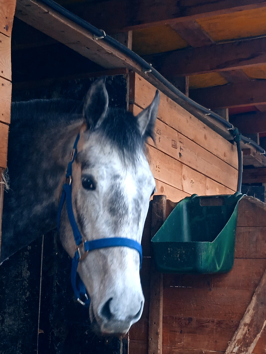 Наша красавица Chanel♥️