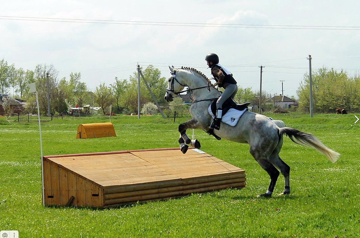 Известный дед троеборец по папе - Хромоген, Тракененская лошадь, есть в базе.