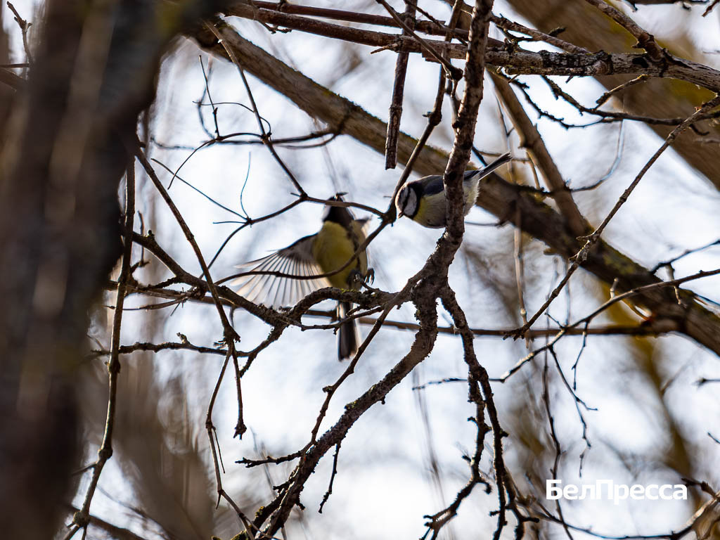    Фото: Алексей Дацковский