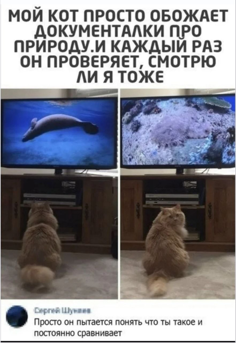 VPN штрафы