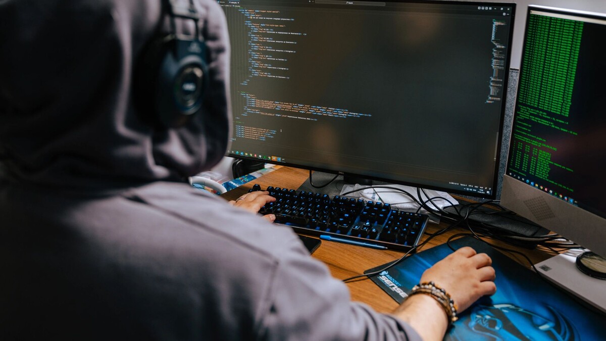    Фото: Василий Петров / «Ямал-Медиа»