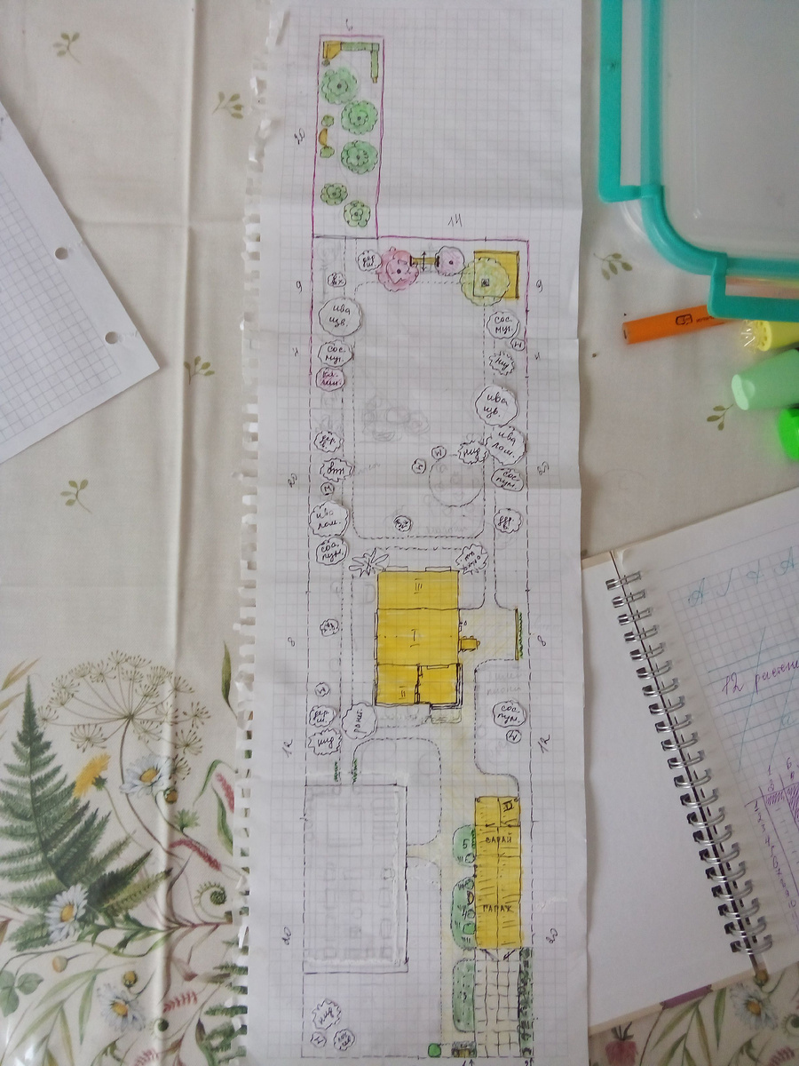 Фото автора. Тут еще кружочки мобильны. Сейчас уже перерисовала всё на сам план. Теперь у каждого мало-мальски крупного растения есть свое место.