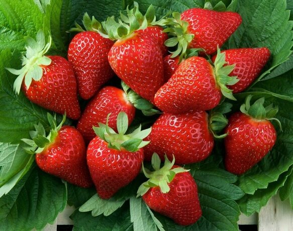 Картинку Алиса показала по запросу клубника Мурано