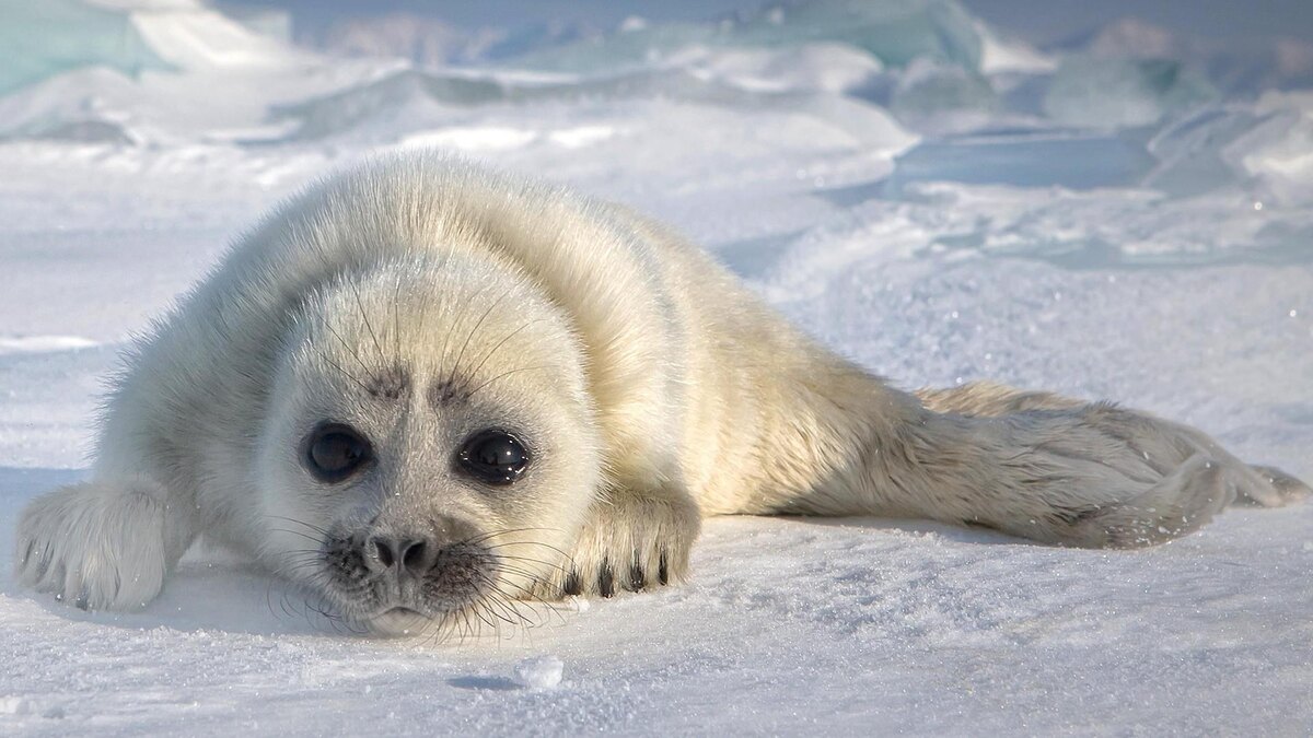    фото: Legion Media