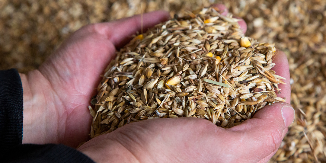 Россия поставила 23,5 тыс т зерна Армении через Азербайджан