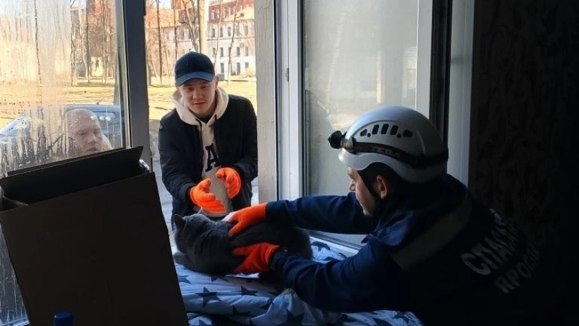    Центр гражданской защиты