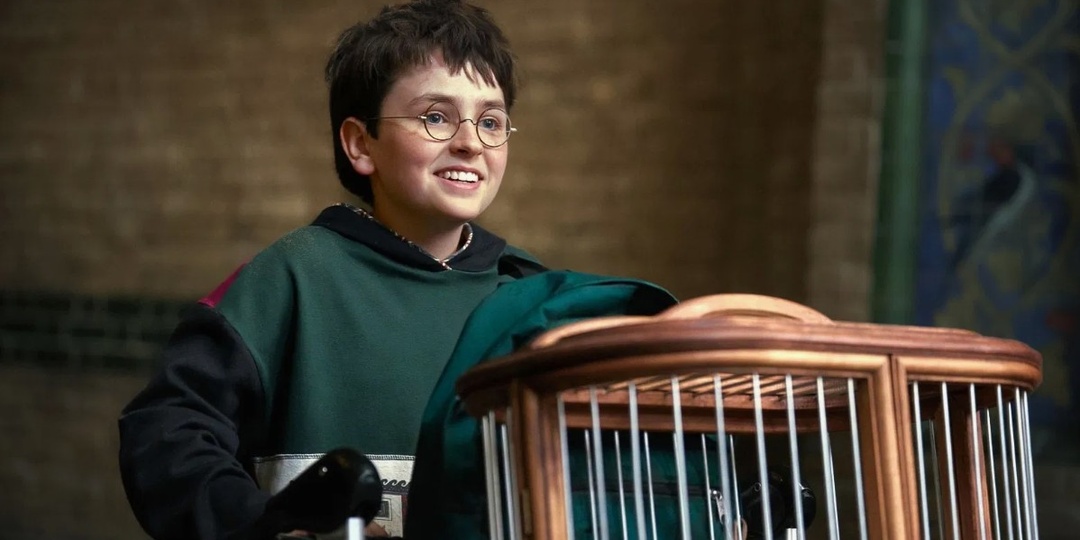 Сериал "Гарри Поттер" - полный разбор трейлера! Новые актеры, Хогвартс и Паапа Эссьеду