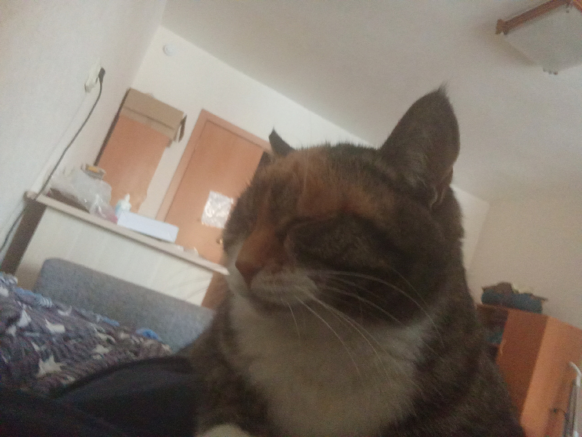 Довольная Марта 