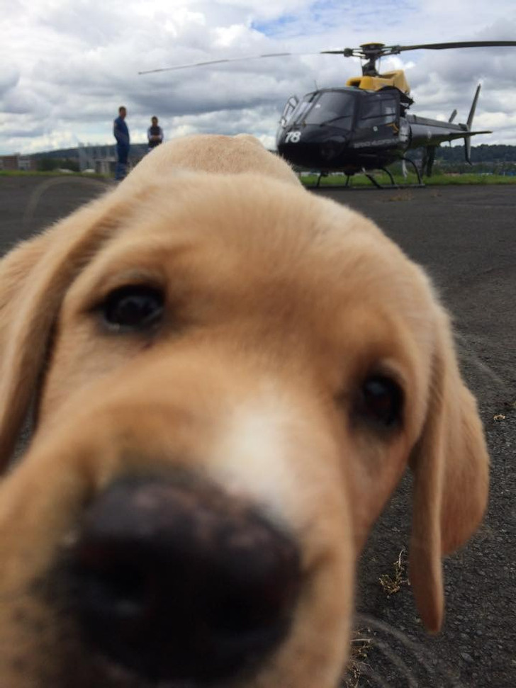 © RightSideUpAussie