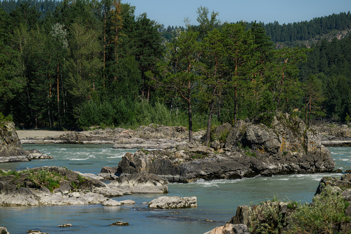 Вид из дома https://dom-hotels.ru