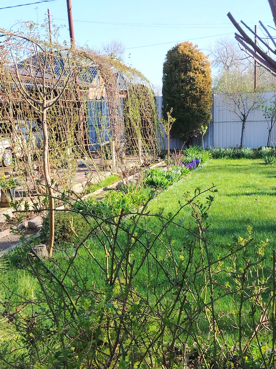 Коротенький, но самый любимый кусочек дня. 